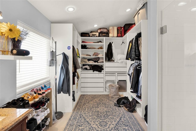 view of spacious closet