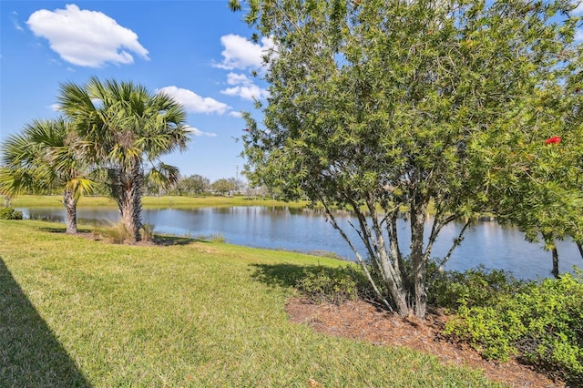 3390 Fallbrook Dr, Kissimmee, FL 34759 - water view