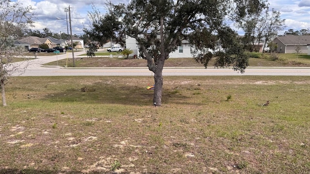 view of yard with a residential view