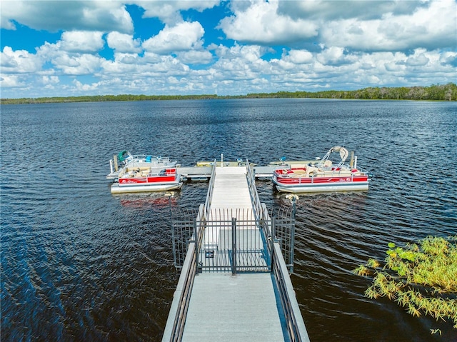 dock area with a water view