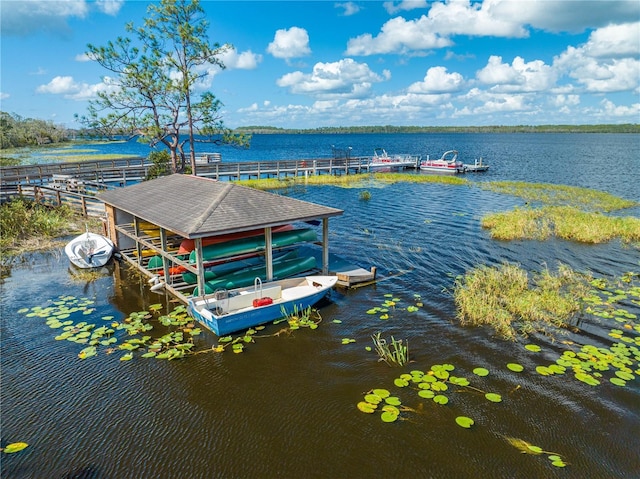 dock area with a water view