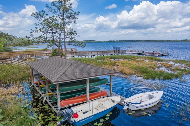 dock area with a water view