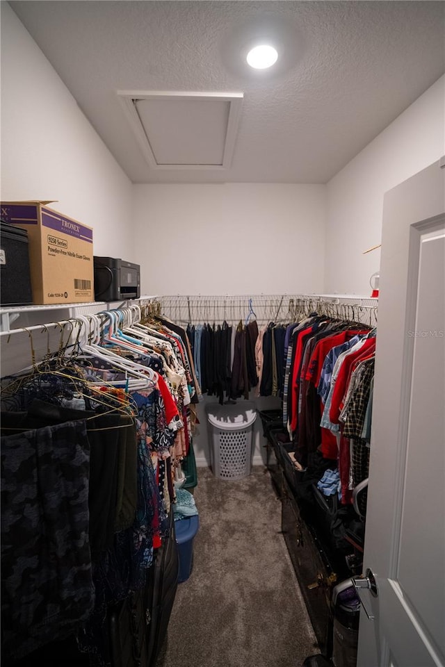 spacious closet with carpet floors and attic access