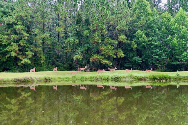 1686 Shadowmoss Cir, Lake Mary, FL 32746 - water view with a forest