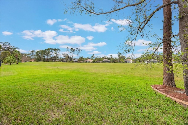1686 Shadowmoss Cir, Lake Mary, FL 32746 - view of grassy yard