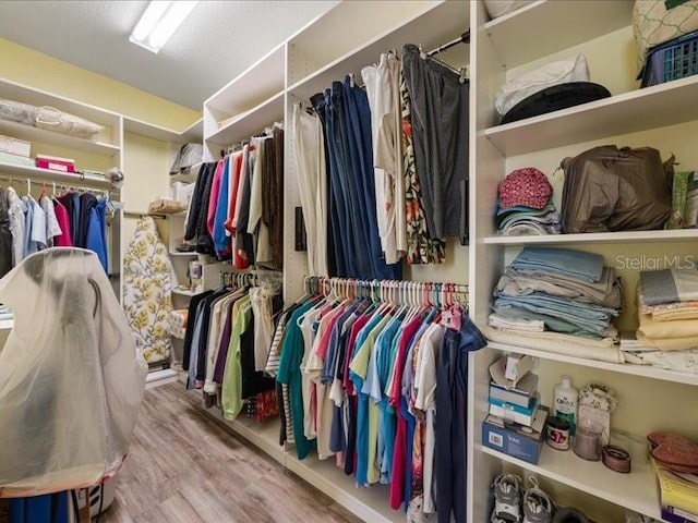 walk in closet featuring wood finished floors