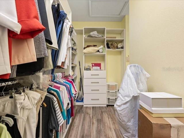 spacious closet featuring attic access and wood finished floors