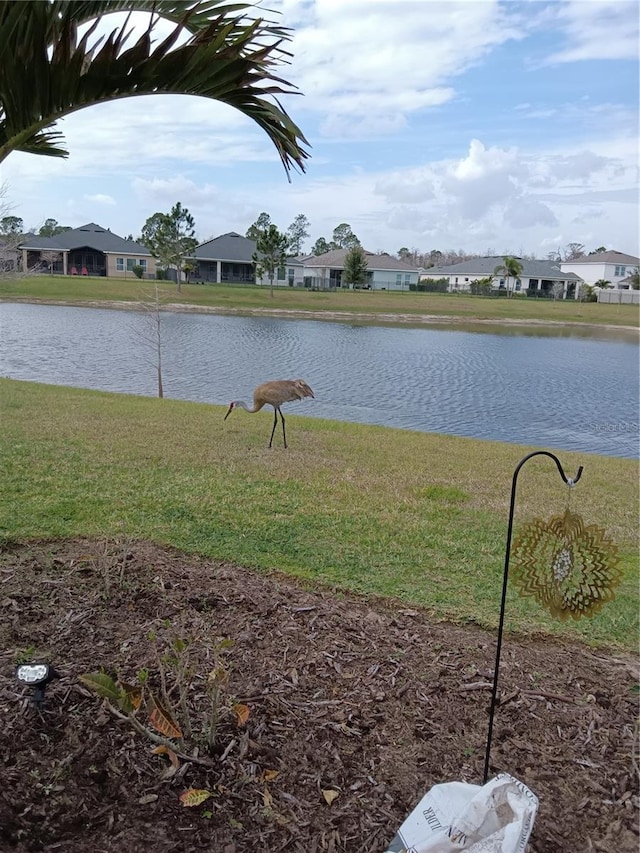 property view of water