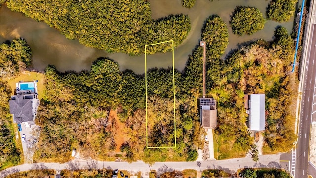 Phoenix Ave, Oldsmar, FL 34677