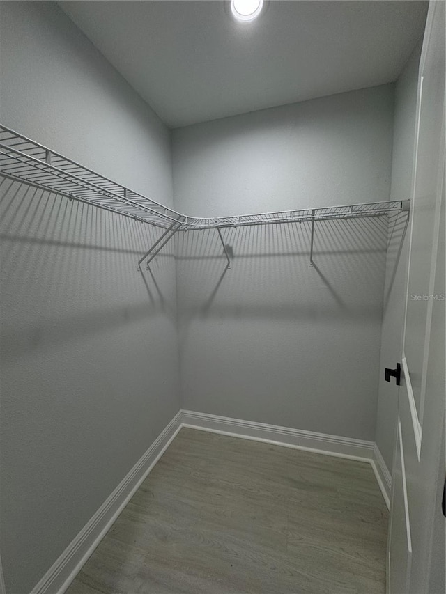 walk in closet featuring wood finished floors