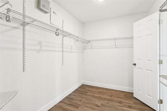 walk in closet with wood finished floors