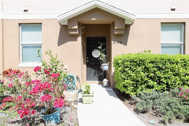 entrance to property featuring stucco siding