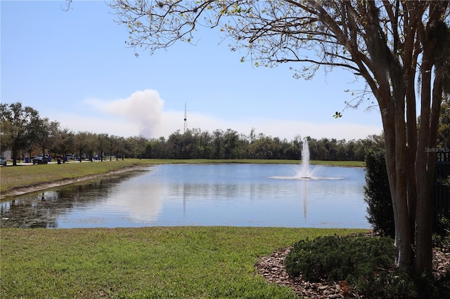 view of water feature