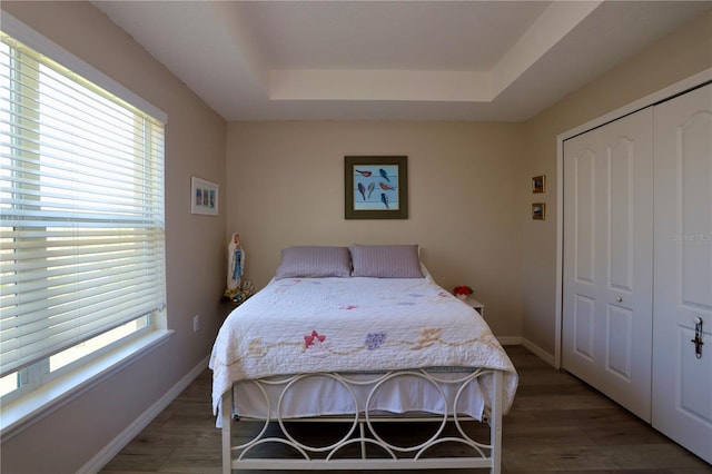 bedroom featuring light wood-style floors, a closet, multiple windows, and a raised ceiling