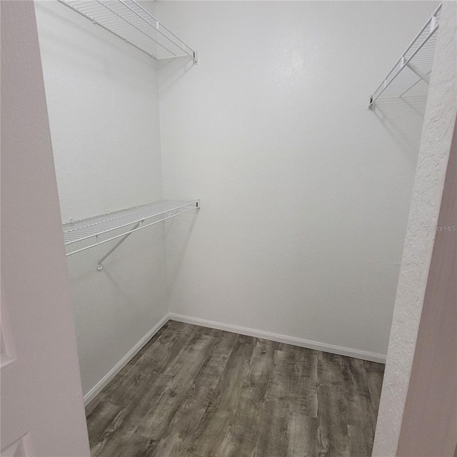 spacious closet with wood finished floors