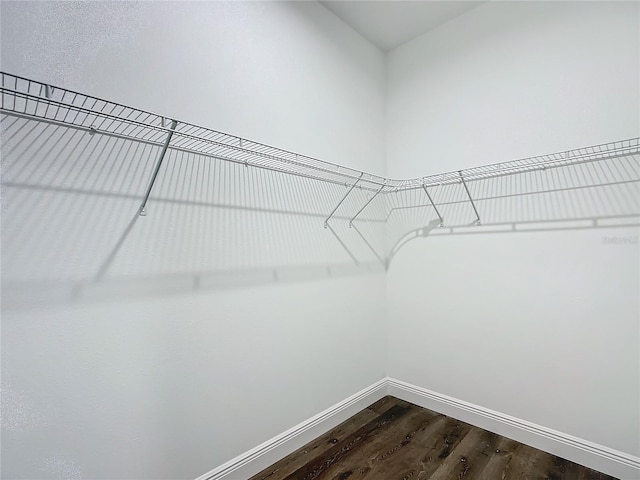 walk in closet featuring dark wood-type flooring