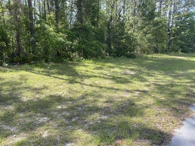 13390 SW 87th Cir, Dunnellon FL, 34432 land for sale