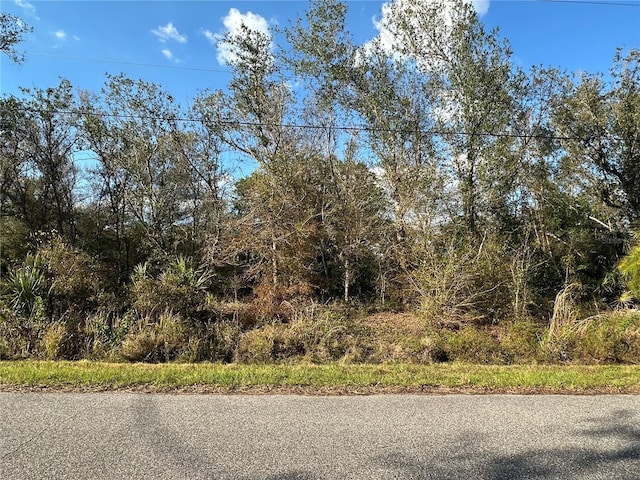 Listing photo 2 for Musa Rd, North Port FL 34286