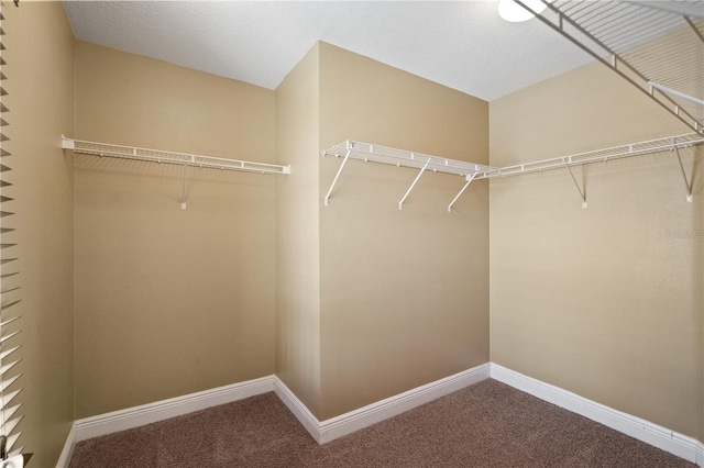 walk in closet with carpet