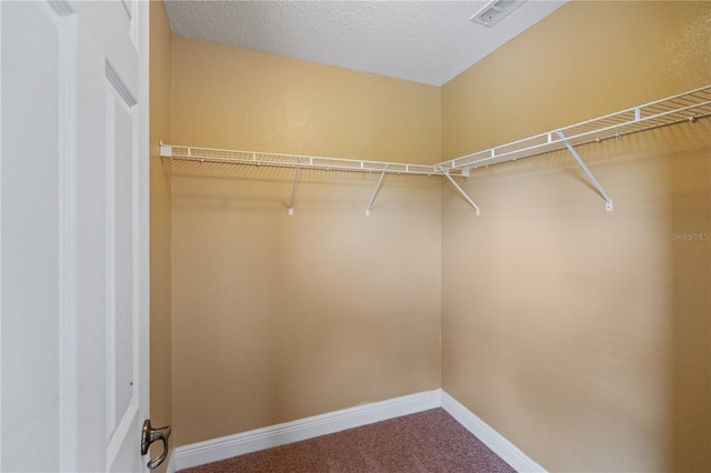 walk in closet with carpet floors and visible vents