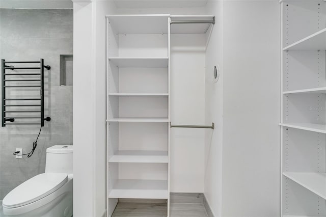 interior space with radiator, toilet, and wood finished floors