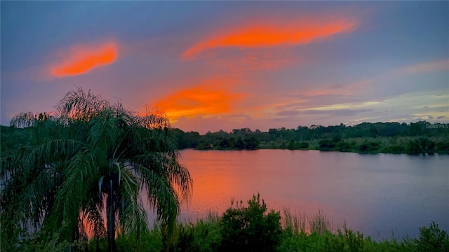 property view of water