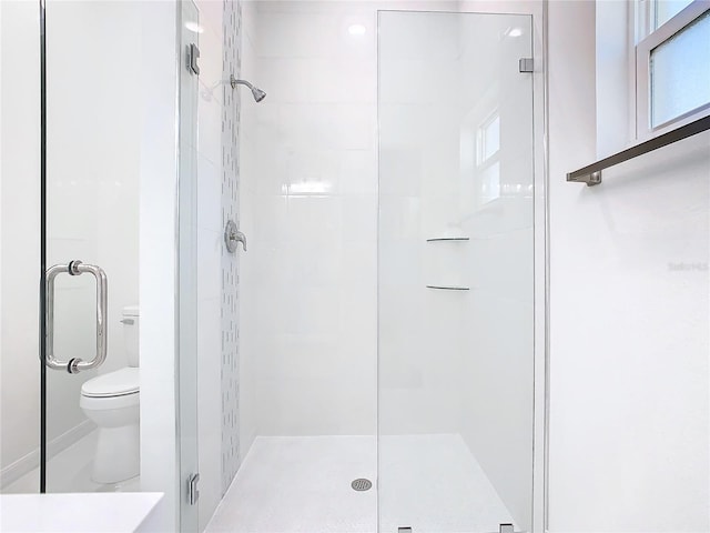 full bathroom featuring toilet and a shower stall