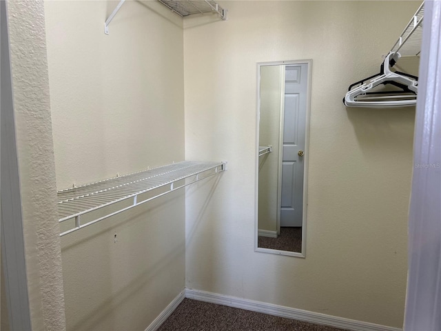 2494 Sweetwater Club Cir Unit 55, Kissimmee, FL 34746 - walk in closet with dark carpet