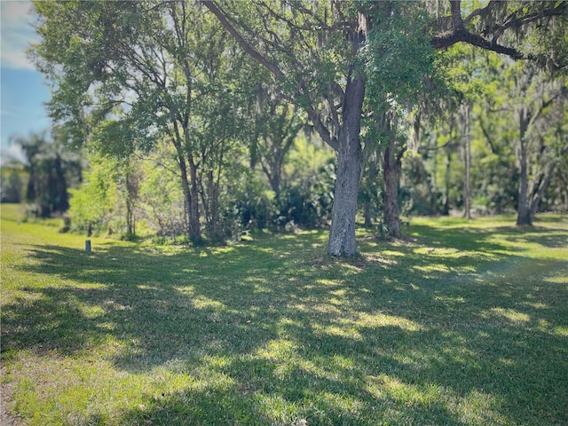 4602 Cumbrian Lakes Dr, Kissimmee, FL 34746 - photo 52
