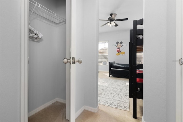 walk in closet featuring ceiling fan and carpet floors