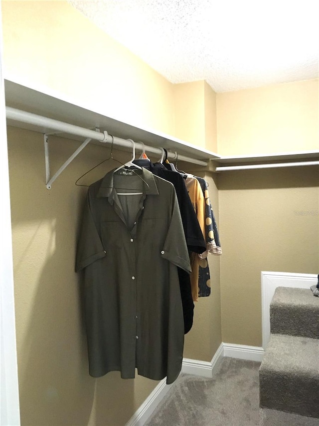 walk in closet featuring carpet floors