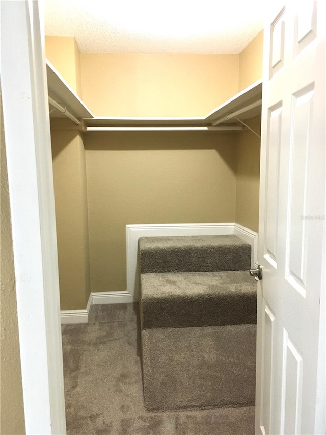 walk in closet with carpet