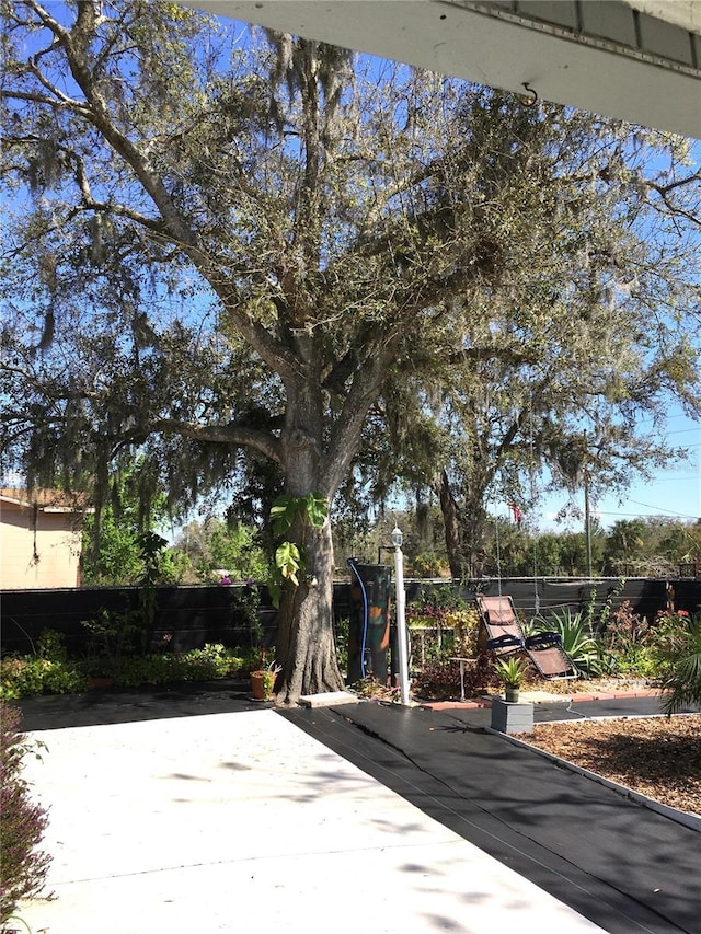 view of road with concrete driveway