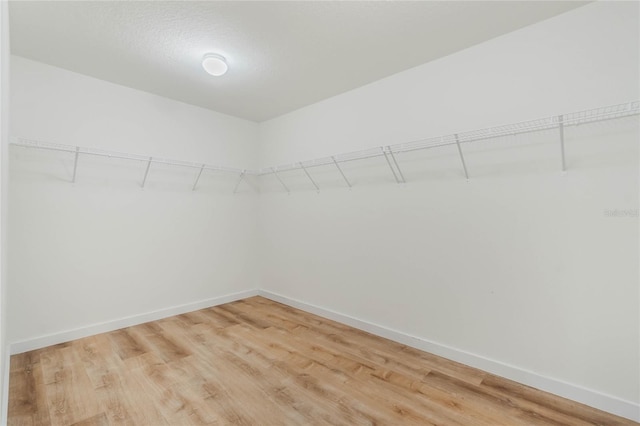 spacious closet with light wood-type flooring