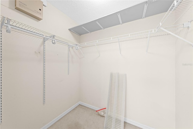 3303 Ann Arbor Ct, Saint Cloud, FL 34772 - spacious closet with carpet floors