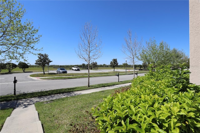 view of road featuring curbs and sidewalks