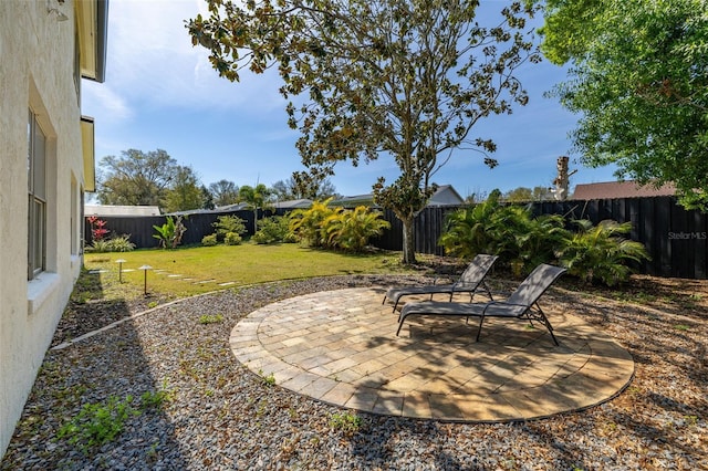 view of yard with a patio and a fenced backyard