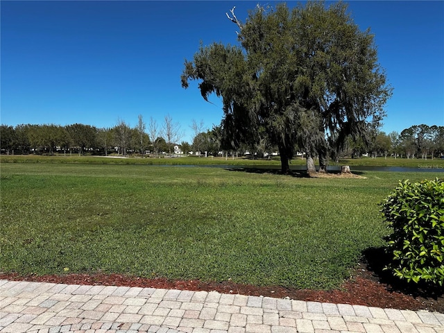 view of property's community featuring a lawn