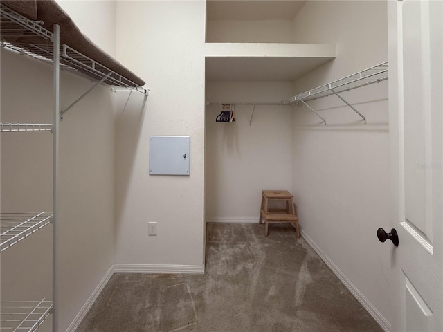 spacious closet featuring carpet flooring