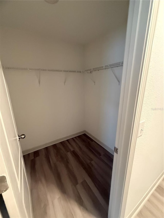 spacious closet with light wood-style floors