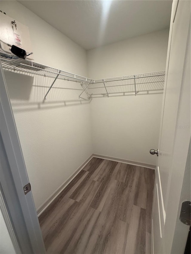 walk in closet with wood finished floors