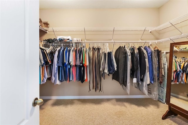 spacious closet with carpet floors