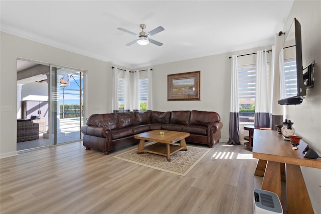 living area with a ceiling fan, a healthy amount of sunlight, ornamental molding, and light wood-style flooring