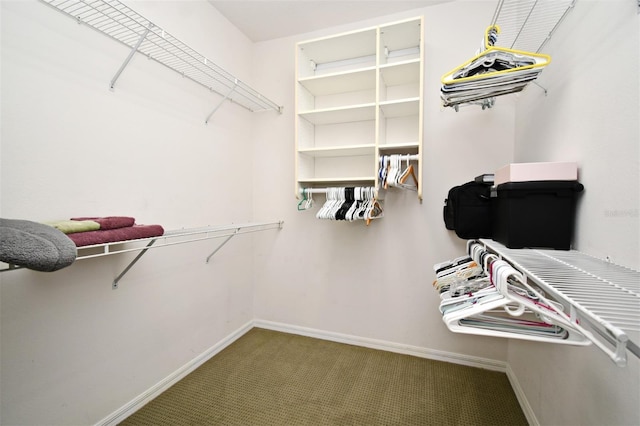 walk in closet featuring carpet flooring