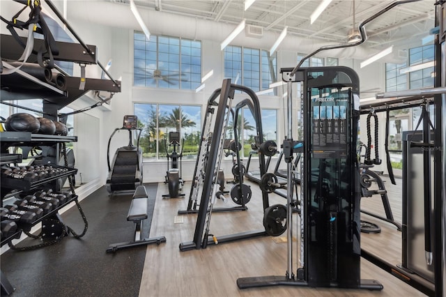 7793 Clove Hitch Way, Orlando, FL 32832 - gym with visible vents