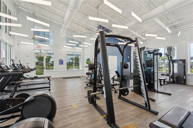 7793 Clove Hitch Way, Orlando, FL 32832 - gym featuring wood finished floors, a towering ceiling, and baseboards