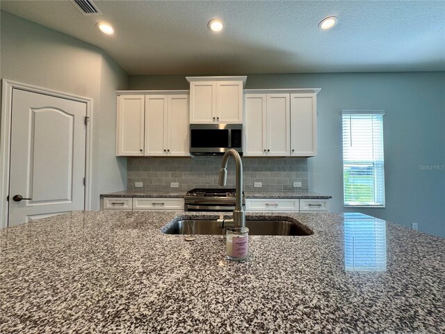 14552 Skipping Stone Loop, Parrish, FL 34219 - kitchen featuring white cabinetry, stainless steel microwave, visible vents, and a sink