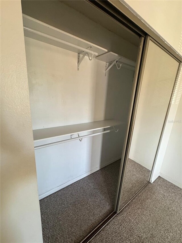 445 Fountainhead Cir Unit 264, Kissimmee, FL 34741 - view of closet