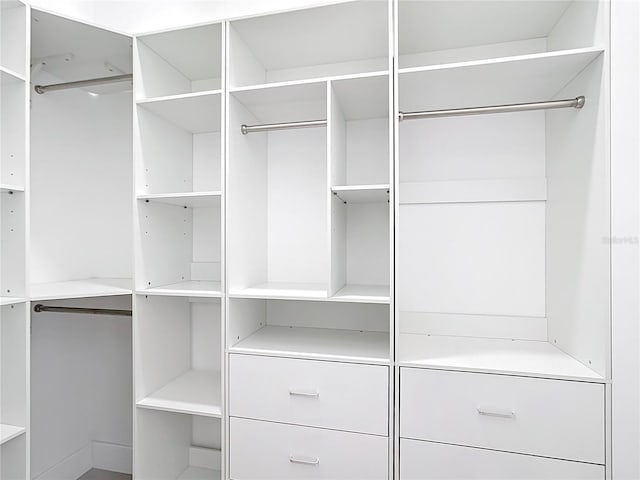 view of walk in closet