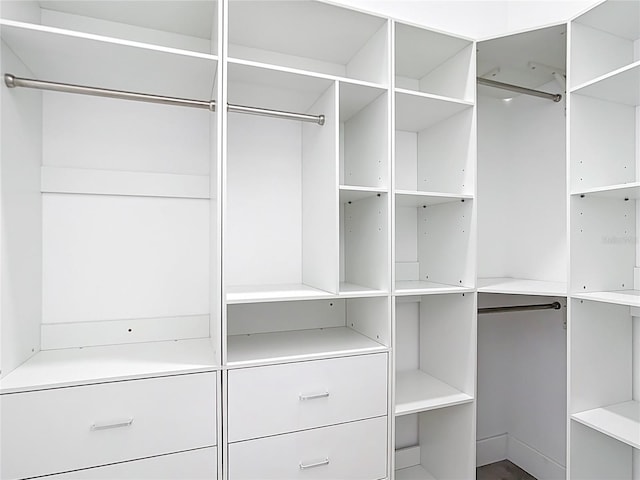 view of spacious closet